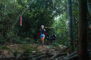 BIB: 
                            <button type="button" onclick="openModal(28024235)" class="btn btn-primary btn-sm float-right btn-popup" data-toggle="modal" data-target=".modal-high-quality">
                        <i class="fas fa-shopping-cart"></i> Add to Cart
                    </button>
                                            <button type="button" onclick="isThisMe(28024235, true)" class="btn btn-success btn-sm float-right btn-popup btn-isme hidden" data-toggle="tooltip" data-placement="bottom" title="นี่คือรูปของคุณใช่ไหม คลิกที่นี่เพื่อเอาเข้าอัลบั้ม">
                        <i class="fas fa-plus"></i> Add to album
                    </button>
                    <button type="button" onclick="isThisMe(28024235, false)" class="btn btn-warning btn-sm float-right btn-popup btn-isnotme hidden">
                        <i class="fas fa-ban"></i> Remove from album
                    </button>